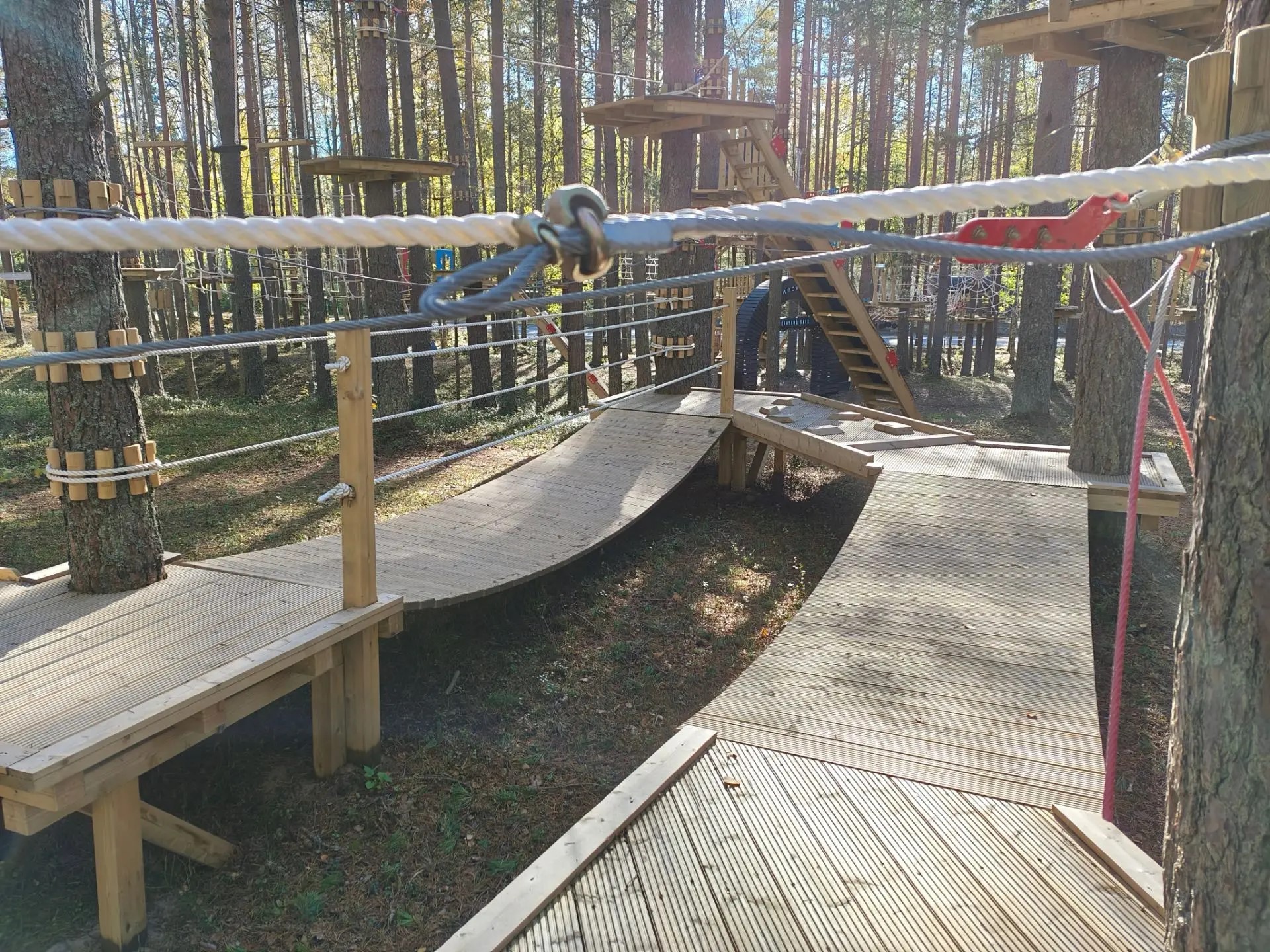среда (6)